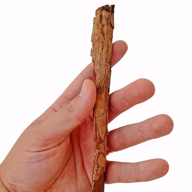 NATURE BORNEO CATAPPA BARK-LTDB